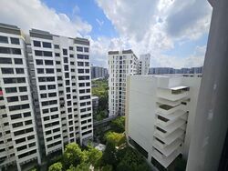Blk 608C Tampines Greenweave (Tampines), HDB 5 Rooms #551285231